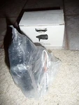 Dabmar Lighting Spot Incandescent DPR-201 (texture Black). Fixed Price $46.99.