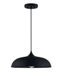 Park Harbor Blackthorne 18" Wide Pendant, PHPL3221MB - Matte. Fixed Price $136.49.