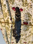 Design Toscano Ocean Mermaid Illuminated Mosaic Glass Statue. Fixed Price $95.00.