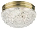 Westinghouse 6661000 Two-light Indoor Flush-mount Ceiling Fixture. Fixed Price $61.31.