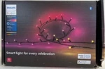 Philips Hue Smart Led Holiday 65-FOOT Festavia String Lights 250 Mini-free S/h. Fixed Price $167.98.