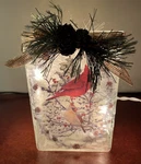 Christmas Cardinals Scene Lighted Glass Block Night Ambience Stony Creek. Fixed Price $21.00.