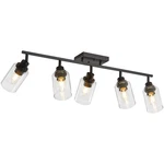 Lousace 5 Kitchen Track Fixtures Ceiling Vanity Lights Black. Fixed Price $177.80.