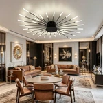 Minimalist Firework Led Ceiling Light Natural Soft Home Indoor Lamp. Fixed Price $104.87.