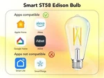Smart Edison Light Bulbs Pack 2.4GHZ Wi-fi, ST19 Vintage E26, 800LM...OREIN. Fixed Price $29.00.