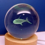 Color Changing Led Crystal Ball Wood Base Shark Night Light Home Decor. Fixed Price $22.49.