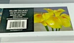The Light Garden CLYL8-B Battery Powered Yellow Calla Lily Floral Accent, Led. Fixed Price $14.99.