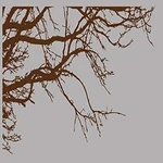 Innovative Stencils Brown Tree Top Branches Wall Decal Vinyl Sticker 100" 44". Fixed Price $36.95.