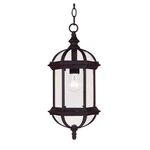 Savoy House Kensington Hanging Lantern Textured Black 5-0631-BK. Fixed Price $212.00.