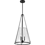 Nuvo Lighting 60/8257 Valentine 16 Inch Black Pendant Ceiling. Fixed Price $377.59.