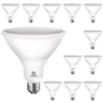Energetic Lighting PAR38 Led Flood Outdoor Bulb, 5000K Daylight, 90 W.... Fixed Price $75.81.