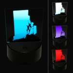 Rhode Island State Silhouette 3D Illusion Led Night Light Sign Lamp. Fixed Price $19.99.