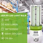 Led Bulbs 5000K Daylight Home Workshop Energy Efficient E26 30W Corn. Fixed Price $120.47.