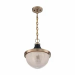 Nuvo Faro 1 Light Large Pendant. Fixed Price $321.99.