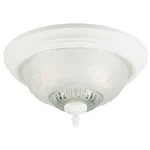 Westinghouse 66162 White 2-LIGHT Ceiling 7 X 13.39 13.25 D In.. Fixed Price $24.99.