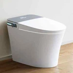 Horow Bidet Toilet 10'' Rough In Auto Open/close Lid Night Light Led Display. Fixed Price $1159.00.