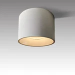 Led Dimmable Ceiling Aluminum White 4.72" Cylinder Indoo.... Fixed Price $77.89.