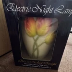 Ibis & Orchid Design Three Tulips 55022 Night Light Electric Hand Painted Floral. Fixed Price $18.00.