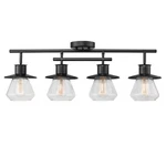 Modern Farmhouse Dark Bronze 4 Light Track With Clear Glass Shades. Fixed Price $97.79.