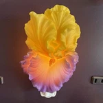 Ibis And Orchid Design Yellow,purple Iris Night Light New In Box Rare/retired. Fixed Price $30.00.