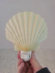 Vagabond Goods Sea Shell Night Light New In Box Beach House Coastal Florida. Fixed Price $7.20.