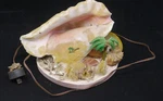 Vintage Conch Shell, Seashell Lamp, Night Light, Kitschy Florida Souvenir. Fixed Price $37.99.