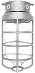 Rab VX200DG-3/4 Vaporproof Ceiling Box 3/4" Hubs W/glass Globe Cast Guard. Fixed Price $89.99.