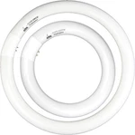 FC8T9/CW 22W And FC12T9/CW 32W Cool White Round Fluorescent Light Bulb. Fixed Price $33.11.