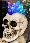 Colorful Led Night Light Mohawk Crystal Hair Skull Figurine Macabre Statue Decor. Fixed Price $31.99.