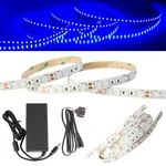Brightest 24V Blue Led Strip For Background Light Retail Commercial Industrial. Fixed Price $75.99.