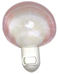 Seashell Night Light Polished Tiger Clam Nautical Decor Gift Beach Cottage. Fixed Price $15.99.