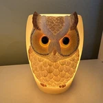 Owl Lamp By Ibis And Orchid Design New In Box. Fixed Price $15.00.