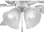 Progress Lighting Fan Kits Collection 4-LIGHT White Ceiling. Fixed Price $25.54.