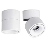 Led Indoor Ceiling Spotlight 360ADJUSTABLE Surface Mounted Cob LIGHTING10W. Fixed Price $40.39.