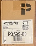 Progress Lighting P3599-09 Glass Globes Flush Mount Fixture Brushed Nickel. Fixed Price $18.00.