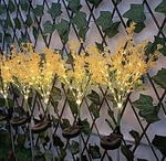 2PCS/PACK Reliable Solar Outdoor Flower Lights Illuminate Your Nights. Fixed Price $15.80.