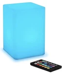 Mr.go 6-INCH Dimmable Led Night Light Mood Lamp For Kids And Adults 16 Rgb. Fixed Price $39.99.