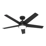Hunter Fan 52 Inch Matte Black Outdoor Ceiling With Light And Blades. Fixed Price $153.89.