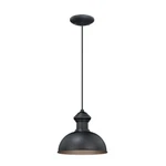 Vaxcel Franklin 10" Outdoor Pendant, Outer Oil Burnished Bronze, Inner Light Gol. Fixed Price $134.99.