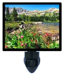 Decorative Photo Night Light, Colorado Wildflowers, Mountains, River. Fixed Price $26.99.