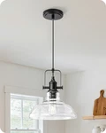 Matte Black Farmhouse Pendant Light Clear Seeded Glass Shade Open Hanging. Fixed Price $49.99.