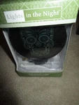New Lights In The Night Midwest Skull. Fixed Price $9.00.