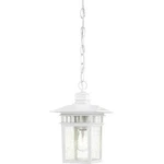Satco Nuvo Cove Neck Light 12" Indoor Outdoor Hanging With Clear Seeded Glass. Fixed Price $39.99.