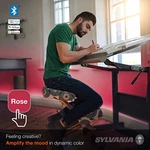 Sylvania Smart (3) 2FT Bluetooth Mesh Indoor Led Flex Light Strip Starter Kit. Fixed Price $26.99.