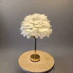 Bedside Lamp /night Light Modern Feather Desk For Bedroom Decor. Fixed Price $59.99.
