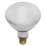 Satco S7006 - 400 Watt BR40 Dimmable Bulb 2700K Great For Pools! (1 Pk). Fixed Price $19.99.