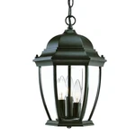 Acclaim Lighting Wexford Hanging Light, Matte Black - 5036BK. Fixed Price $88.00.