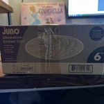 Juno Down-lite Decorative Etched Opal 6 243-WH Nib. Fixed Price $75.00.