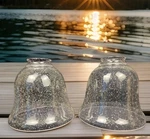 Kichler 5" Seedy Clear Glass Shade 2" Fitter 6" Bell Opening Set Of. Fixed Price $25.49.