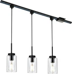 Vinluz 3 Lights Type Tracking Lighting Pendants, Black Ceiling Hanging. Fixed Price $149.99.